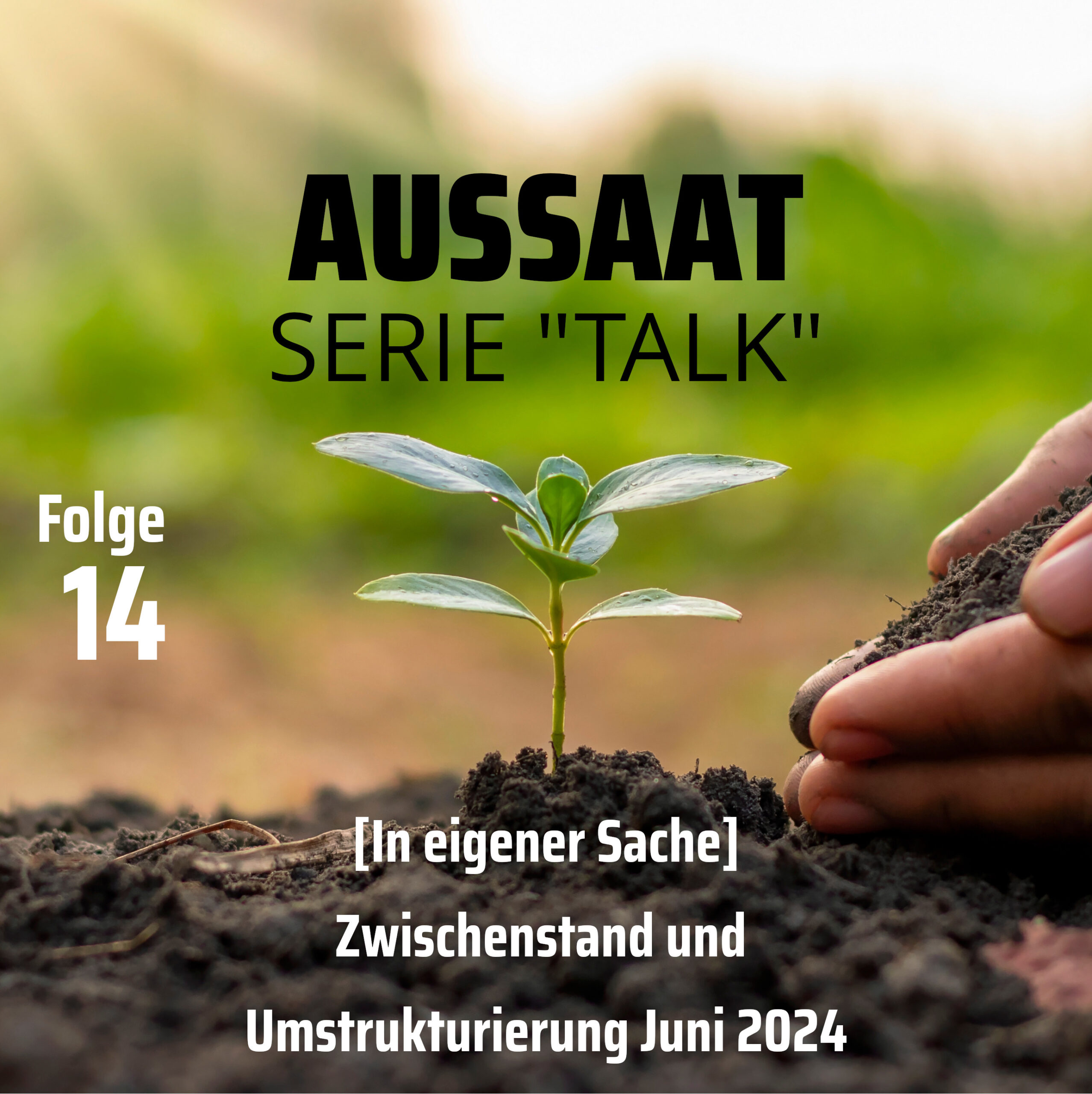 [In eigener Sache] Zwischenstand und Umstrukturierung Juni 2024